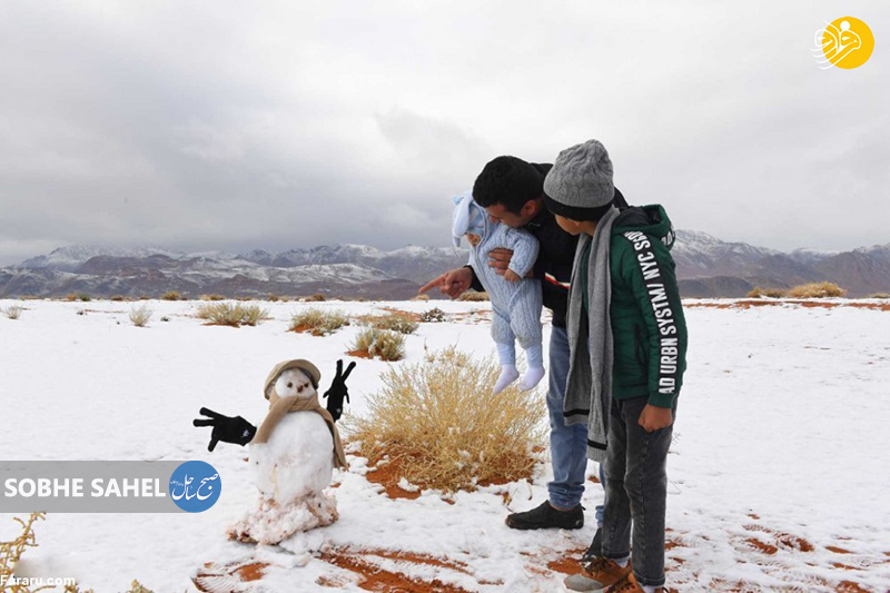 شادی مردم عربستان از بارش برف+ تصاویر 