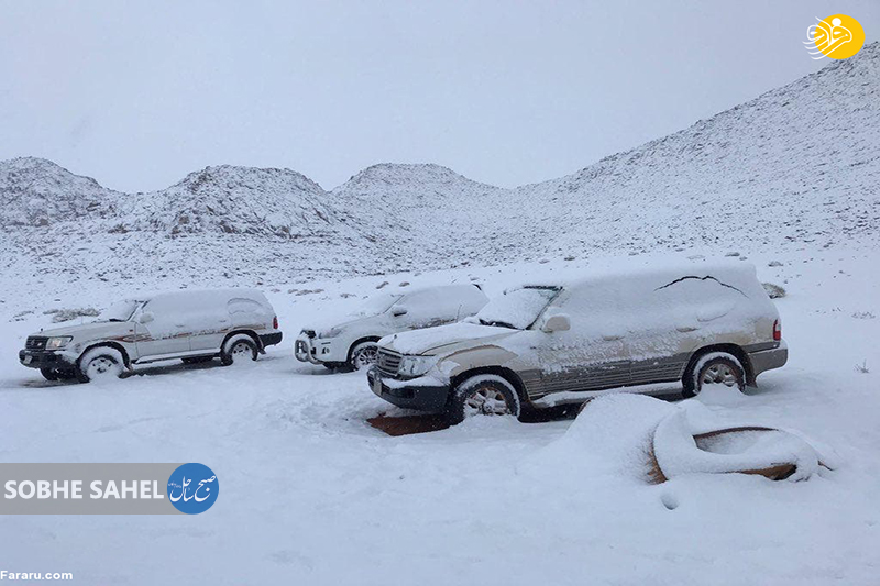 شادی مردم عربستان از بارش برف+ تصاویر 