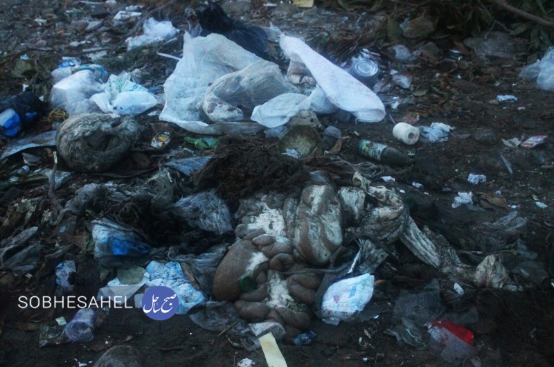 گلایه یک شهروند از کمبود سطل زباله و زباله های سرگردان در سورو