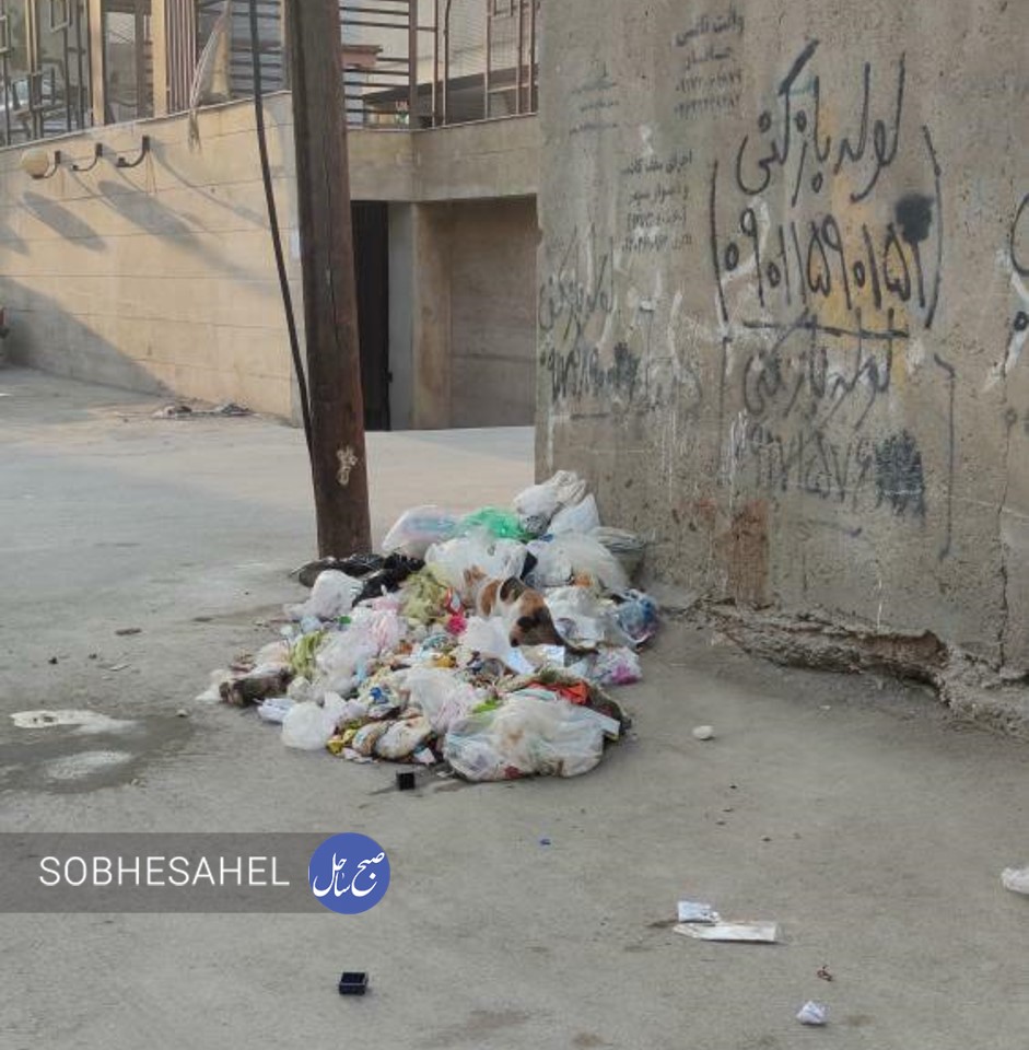 گلایه یک شهروند از رهاسازی زباله‌ها در خیابان و کمبود سطل زباله 