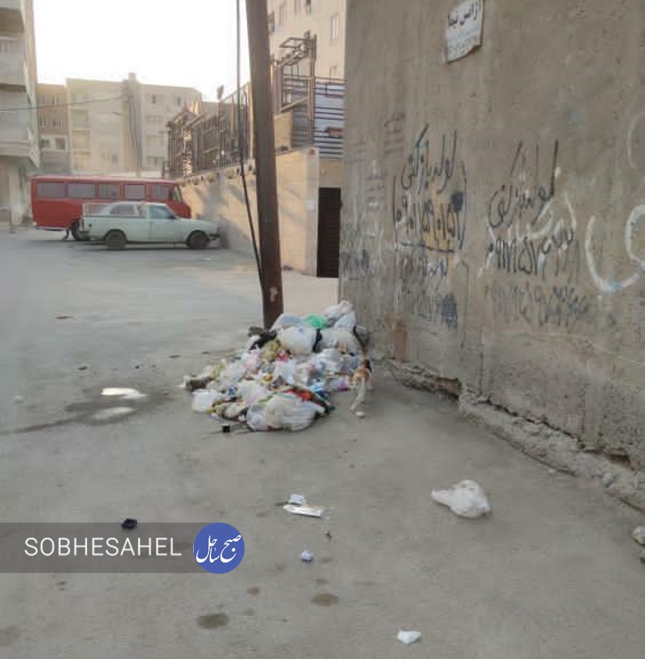 گلایه یک شهروند از رهاسازی زباله‌ها در خیابان و کمبود سطل زباله 