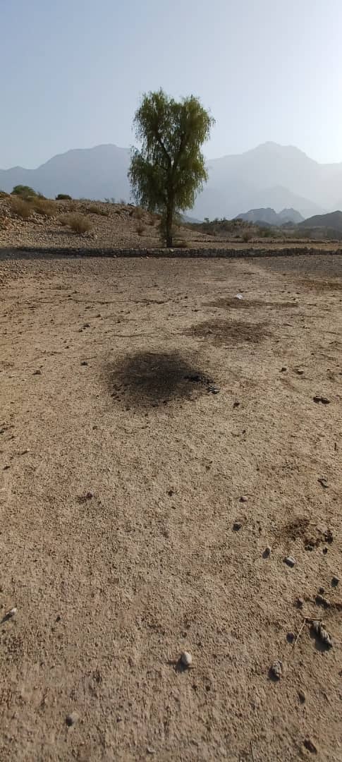 معمای جسد سوخته چوپان جوان در روستای گیشان