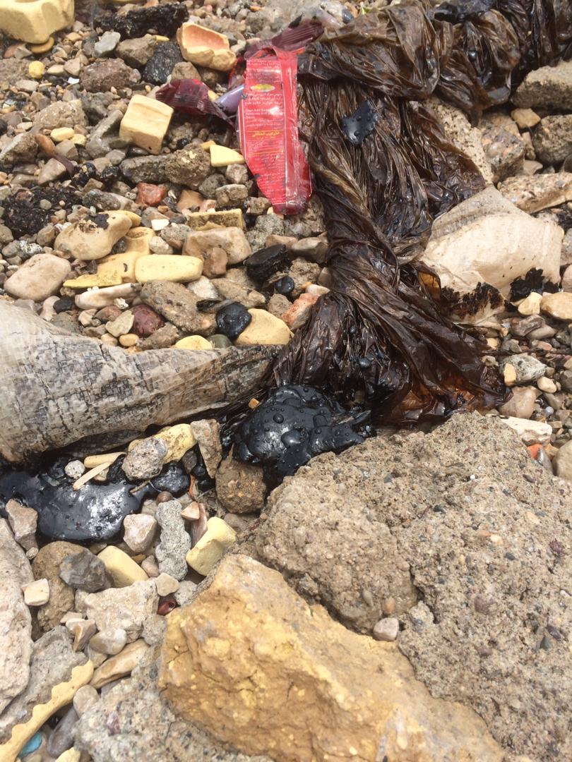 مشاهده آلودگی های شبه نفتی در  ساحل بندرعباس