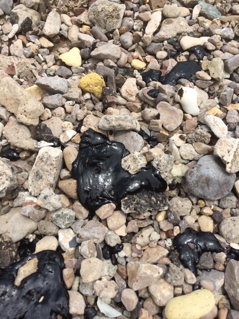 مشاهده آلودگی های شبه نفتی در  ساحل بندرعباس