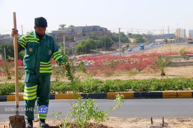 رنگ و بوی جدیدی بر دامن بندرعباس