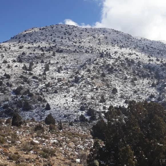 بارش برف در ارتفاعات قله تشگر در سیاهو هرمزگان